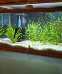 Hikari Bacto-Surge High Density Foam Filter, Large 26 81SFkizA0hL