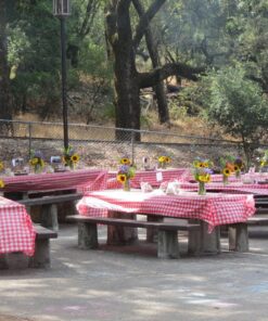 Red Gingham Plastic Tablecloth Roll With Cutter, 100' x 52" - Heavy Duty Party Table Cloth In Self Cutting Box - For Picnics, BBQs, and Birthday Parties - By Clearly Elegant Gingham Red 47 81SKfkm2trL