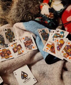 Animal Kingdom Playing Cards by Theory11 26 81SLGOsmr6L