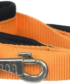 cuteNfuzzy Padded Double Handle Leash with Warranted Replaceable Snap, Orange, 1" by 6' 1" x 6'