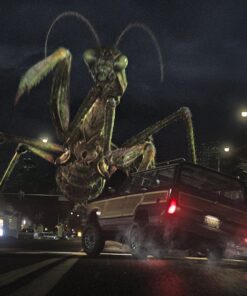 Goosebumps (Blu-ray + DVD) Blu-ray January 26, 2016 12 81SLoLinbAL