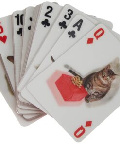 Kikkerland Playing Cards Cat 10 81SP1G1ZbZL