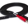 Hosa CMP-159 3.5 mm TRS to Dual 1/4" TS Stereo Breakout Cable, 10 Feet, Black, 1-Pack, Laptop 42 81STKwi1TbL