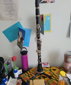 Eastar B Flat Clarinet for Intermediate Beginners, Upgraded Ebonite Bb Clarinet Silver-plated with 2 Barrels, 4C Mouthpiece, Hard Case, Cleaning Kit, ECL-400 Silver keys, Commander style 18 81STSSHQHSL