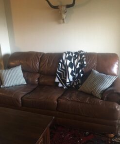 Long Horn Cow Skull Wall Hanging Longhorn Steer 27 81SUd9B5htL