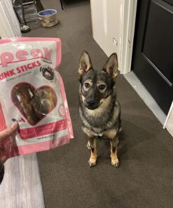 Speak Dog Treats Oink Sticks, Gluten and Grain Free Low Calorie Pork Trachea Chews for Small Breeds, Perfect Alternative for Rawhide, 8 Ounces 21 81SUmK FWGL