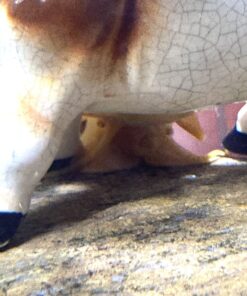 Golden Mystery Snail - 1/2"-2" - Algae Eater for Aquariums 34 81SYn6bYm6L