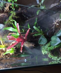 Croci Zoo Med Reptile Fogger Terrarium Humidifier,Black 25 81SgTYVL8xL