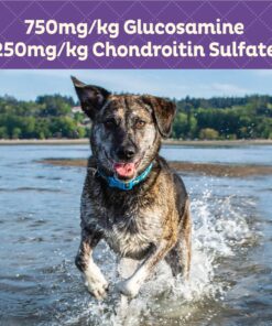 Old Mother Hubbard by Wellness Mother's Solutions Hip & Joint Natural Dog Treats, Crunchy Oven-Baked Biscuits, Ideal for Training, 20 ounce bag 16 81SlEM4JSjL