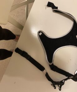 BV Pet Tie Out Cable for Dogs Up to 125 Pounds, 30 Feet (Red/ 125lbs/ 30ft) 125lbs/ 30ft/ Red 33 81SlgggMJQL