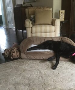 Swiffer Sweeper Dry Mop Refills for Floor Mopping and Cleaning, All Purpose Floor Cleaning Product, Unscented, 52 Count (Packaging May Vary) 52 Count (Pack of 1) 25 81SodeiSq1L