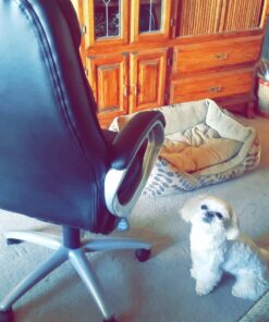 BestOffice Office Chair Cheap Desk Chair Ergonomic Computer Chair with Lumbar Support Arms Headrest PU Leather Modern Rolling Swivel Executive Chair for Back Pain Women Men Adults,Black Black 52 81SqfpAZKjL