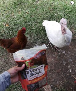 Manna Pro Harvest Delight - Whole Ingredient Chicken Treat - Harvest Mix of Grains, Raisins, Tomatoes, Carrots, Sunflower Seeds - Mixed Flock Poultry Treat - 2.5 lbs 28 81SqkJoRomL