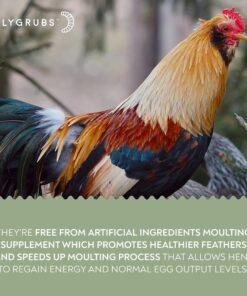 FLYGRUBS Superior to Dried Mealworms for Chickens (1lb) - 85X More Calcium Than Live mealworms - Non-GMO Chicken Feed - BSFL Treats for Hens, Ducks, Turkeys, Wild Birds, Turtles, Quails 1 Pound 19 81SrEyYeFlL