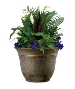 The HC Companies SRA10001P02C004LRABG 10" Sierra Pot, Nordic Bronze 11 81Sv6lrWGPL