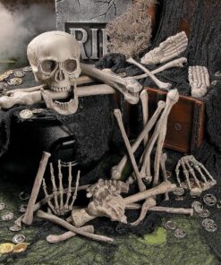 Fun Express Bag of Skeleton Bones - 28 Piece Set 19 81SyK7tAcYL