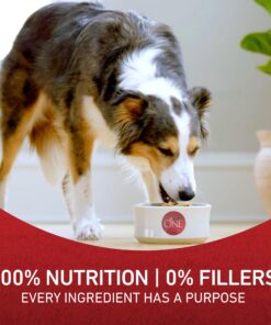 Purina ONE Chicken and Rice Formula Dry Dog Food - 8 lb. Bag Dry Food Chicken & Rice 8 Pound (Pack of 1) 33 81T4xN29RuL