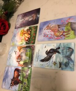 The Animal Wisdom Tarot: An inspirational guide to using tarot cards and their meanings 27 81T5Pq2DheL