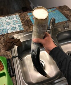 AleHorn Viking Horn Mug with Stand | Viking Drinking Horn Mug, Viking Cup | Handcrafted Tankard Mug, Viking Beer Mug | Viking Drinking Cup | Viking Mugs | Horn Cup - Viking Mug | Polished 20 oz XL - 20oz 40 81T6KzQRcgL