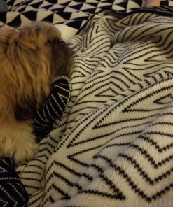 100% Cotton Throw Blanket, Stylish While Classic Pattern, Natural Soft & Cozy Throws for Bed Couch/Sofa/Bed/Picnic Pattern F 25 81TBG71KakL 2