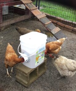 RentACoop 20 Pounds BPA-Free Chicken Feeder with Large Ports - Includes Lid, Anti-Roost Cone, Rain Hoods - Suitable for Chickens - Center Placement 33 81TBhHSAfUL