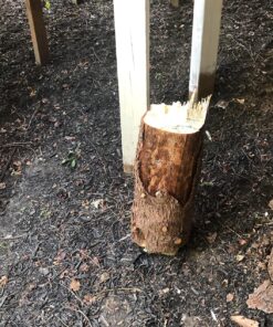 Estwing E-5 5 Lb Sure Split Wedge , Blue 44 81TEZosOGML