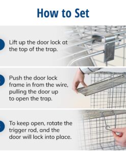 Havahart 1079SR Large 1-Door Humane Catch and Release Live Animal Trap for Raccoons, Cats, Bobcats, Beavers, Small Dogs, Groundhogs, Opossums, Foxes, Armadillos, and Similar-Sized Animals 28 81TFCdn4ptL