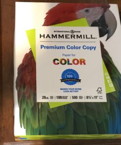 Hammermill Printer Paper, Premium Color 28 lb Copy Paper, 8.5 x 11 - 5 Ream (2,500 Sheets) - 100 Bright, Made in the USA, 102450C Letter (8.5x11) 5 Ream | 2500 Sheets 26 81TFIekpxL