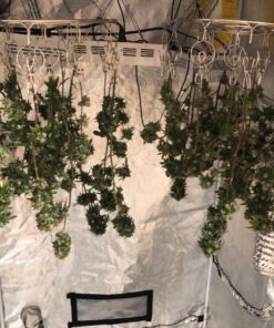 Pro Chef Kitchen Tools Clothes Drying Rack - Round Clothing Racks - Laundry Portable Clothesline Includes 18 Metal Clothespins Hanger Clips Set - Baby Clothes Storage Closet - Herb Hanging Air Dryer 40 81TIYut7MAL