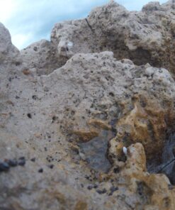 GoPro HERO+ (Wi-Fi Enabled) 39 81TJt6 ZLEL