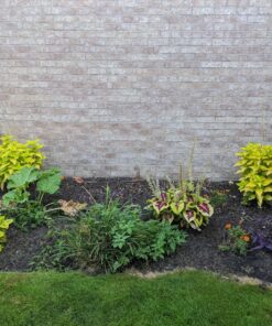 Scotts EZ Seed Patch and Repair Sun and Shade for Grass: Covers up to 225 sq. ft., 10 lb. 10 lb. 1 Pack 63 81TK9l4YlL