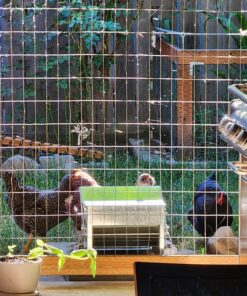 Grandpa's Feeders Automatic Chicken Feeder - Sturdy Galvanized Steel Poultry Feeders - No Spill with Weatherproof Lid - Standard Size for 6-12 Chickens 10 Days (20lb Feed) Silver 14 lb 28 81TLjLaMIoL