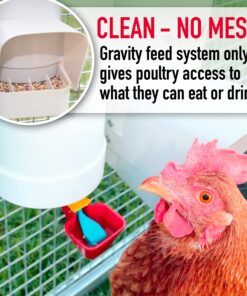 Royal Rooster Chicken Feeder and Waterer Set - Includes 1 Gallon Waterer with 2 Cups and 7lb Feeder for Chickens - Chicken Coop Accessories with Hanging Chicken Poultry Feeder and Chicken Waterer Kit 2-Cup Waterer 29 81TQoaZxZ1L