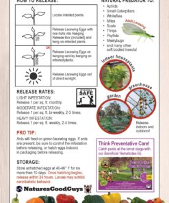 Alternative view of Nature's Good Guys Green Lacewing 5,000 Eggs