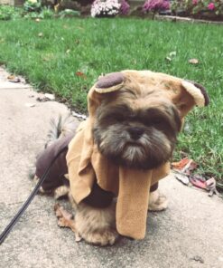 Rubie's Star Wars Ewok Pet Costume, Small S (Neck: 12", Girth: 17", Back: 11") 1 30 81TRmXWJauL