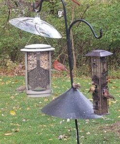 Perky-Pet 340 Transparent 16-Inch Squirrel Baffler 34 81TRs7OvPKL