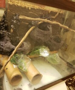 Great Stuff 283064 12OZ GS Pond&Stone Foam Sealant, Each, Black Pond & Stone 39 81TSx9XhkQL