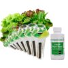 AeroGarden Heirloom Salad Greens Mix Seed Pod Kit - Salad Kit for AeroGarden Indoor Garden, 7-Pod 7 81TY8 GI26L