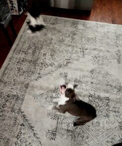 Outward Hound Tail Teaser Durable Dog Wand with Soft Plush Toys 32 81TYtEsnJPL