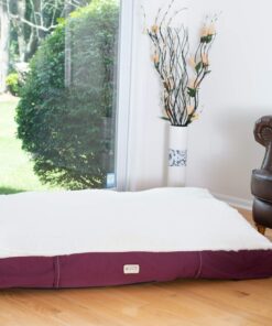 Armarkat Pet Bed Mat 28 by 22 by 5, M02HJH/MB-Medium, Ivory 28.0"L x 22.0"W x 5.0"Th 22 81TZ42JAUNL 1