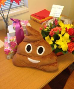 YINGGG 32cm Poop Plush Pillow Round Triangle Emotion Cushion Cute Decorative Stuffed Toy Brown Gifts for Kids and Friends 32 81TdKulL19L