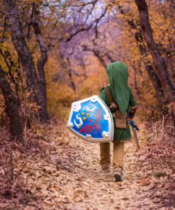 Link Prestige Legend of Zelda Nintendo Costume, Small/4-6 S (4-6) 13 81ThrwoSdYL