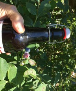 Home Brewing Glass Beer Bottle with Easy Wire Swing Cap & Airtight Rubber Seal -Amber- 16oz - Case of 12 - by Tiabo Amber 27 81TiZlaKvL