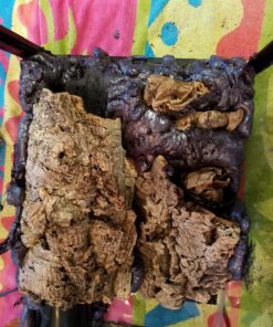 Great Stuff 283064 12OZ GS Pond&Stone Foam Sealant, Each, Black Pond & Stone 52 81TkU4JqwfL