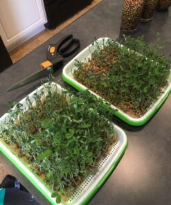 General Hydroponics CALiMAGic 1-0-0, Concentrated Blend of Calcium & Magnesium, Secondary Nutrient Deficiencies Helps Prevent Blossom End Rot & Tip Burn, Clean, Soluble, 1-Quart 32 Fl Oz (Pack of 1) 41 81Tmx7MufKL