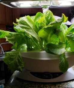 AeroGarden Salad Greens Mix Seed Pod Kit, 7 pod 32 81TowMGc8dL