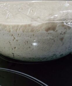 Saf Instant Yeast, 1 Pound Pouch 1 Pound (Pack of 1) 84 81Tp0uLyWL