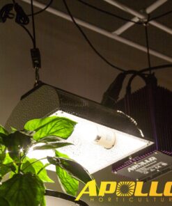 Apollo Horticulture GLRP14 1/4" Grow Light Heavy Duty Adjustable Rope Hanger with 8 Feet Braided Rope at 300 lbs Capacity per Pair Pair of 1/4" 5 81Tp8H806YL