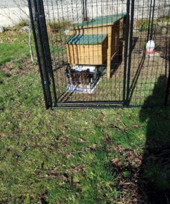 Grandpa's Feeders Automatic Chicken Feeder - Sturdy Galvanized Steel Poultry Feeders - No Spill with Weatherproof Lid - Standard Size for 6-12 Chickens 10 Days (20lb Feed) Silver 14 lb 37 81TrexCIR6L