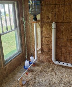 4 Pack NO PECK Poultry Waterer Drinking Cup with 1/2" PVC Tee Poultry Watering System for Chicken Ducks Quail 20 81TvJ9BI7gL